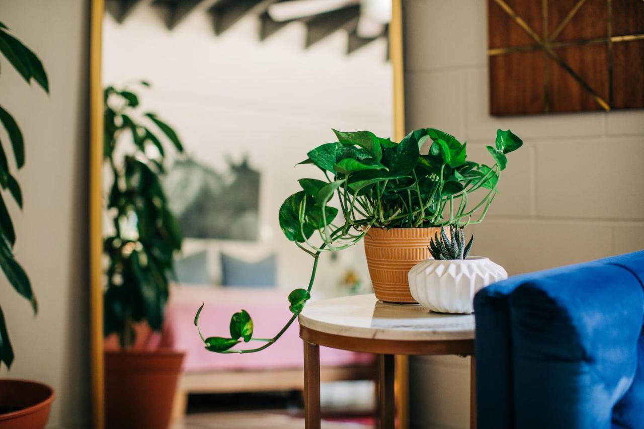 Stellar Suites Louisville Zewnętrze zdjęcie
